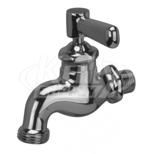 Zurn Z80501 Wall-Mounted Single Sink Faucet