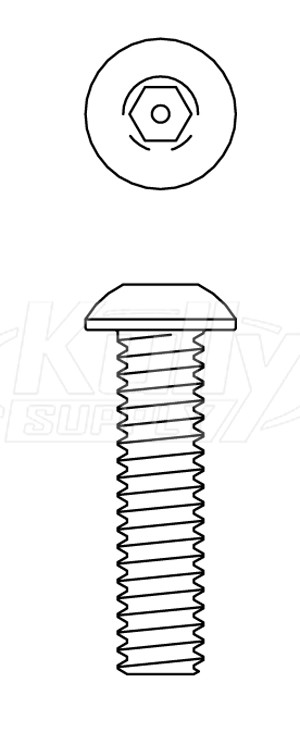 Acorn 0112-003-000 1/4-20 X 1" Button Head Hex W/Ctr Reject S.Stl Screw