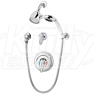 Symmons 1-117-FS Safetymix Shower/Hand Shower