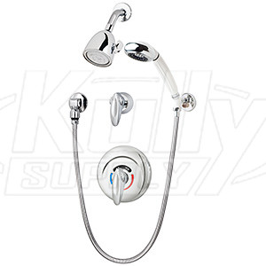 Symmons 1-117-FS Safetymix Shower/Hand Shower