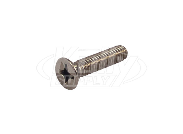 T&S Brass 000913-45 Sprayface Screw For Spray Valve