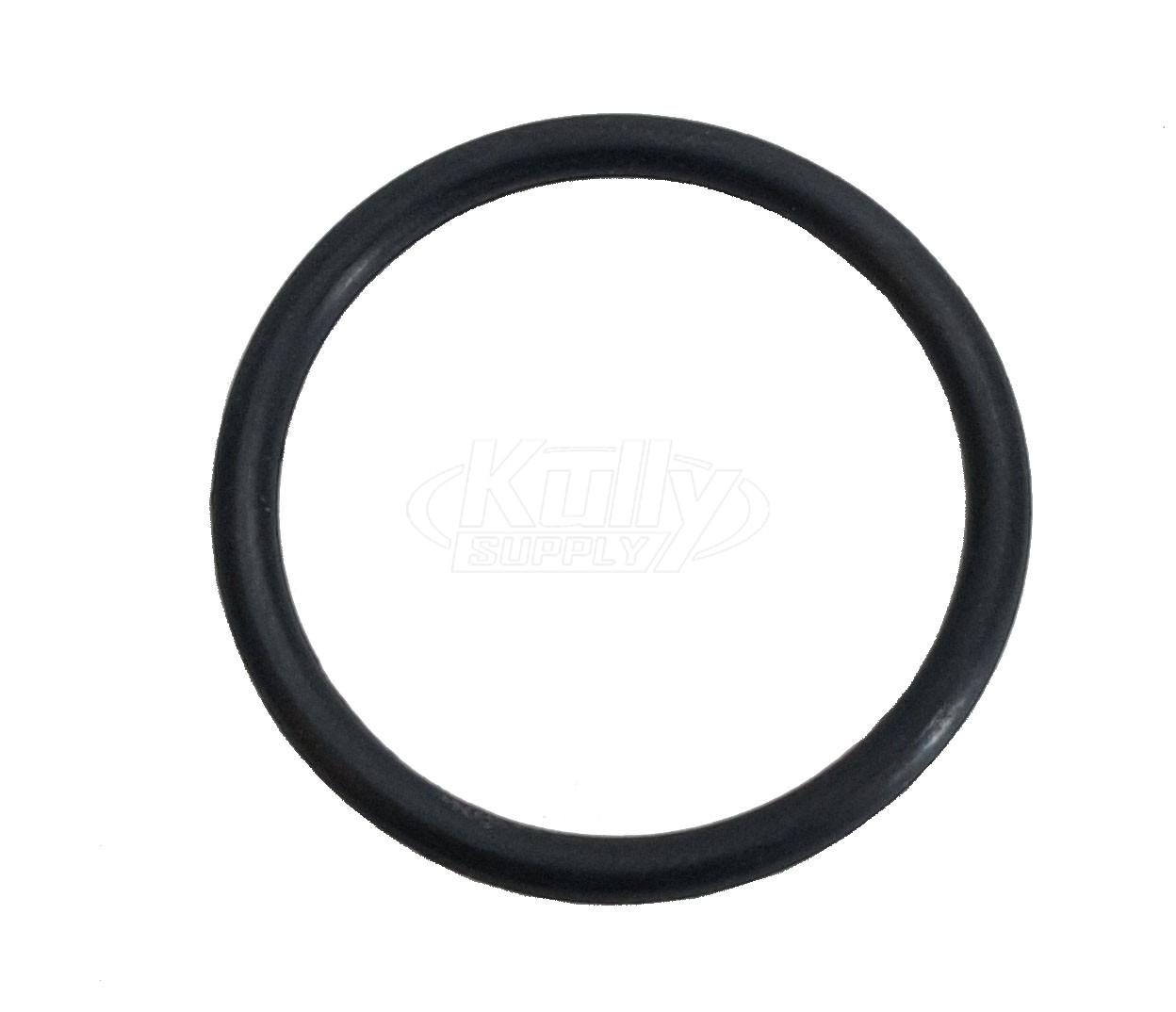 Sloan H-589 O-Ring Repair Kit