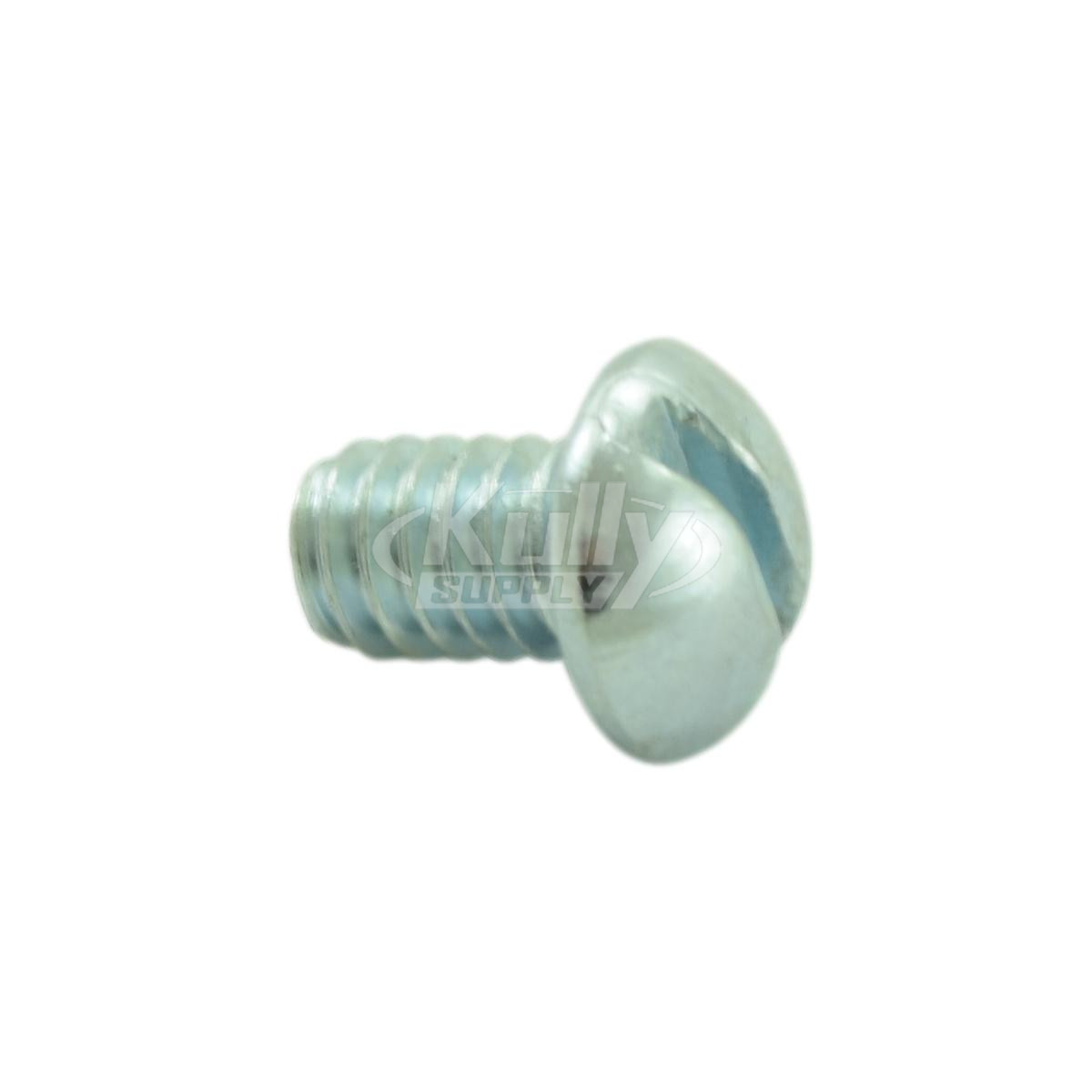 Bradley 160-169 Screw 1/4-20 13/32" RD HD