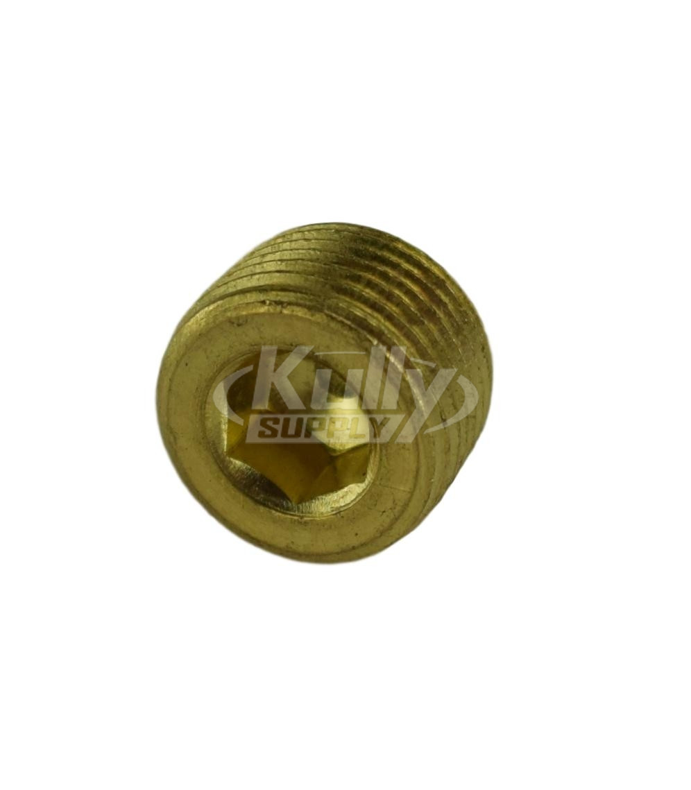 Bradley 169-043 Pipe Plug 3/8" NPT