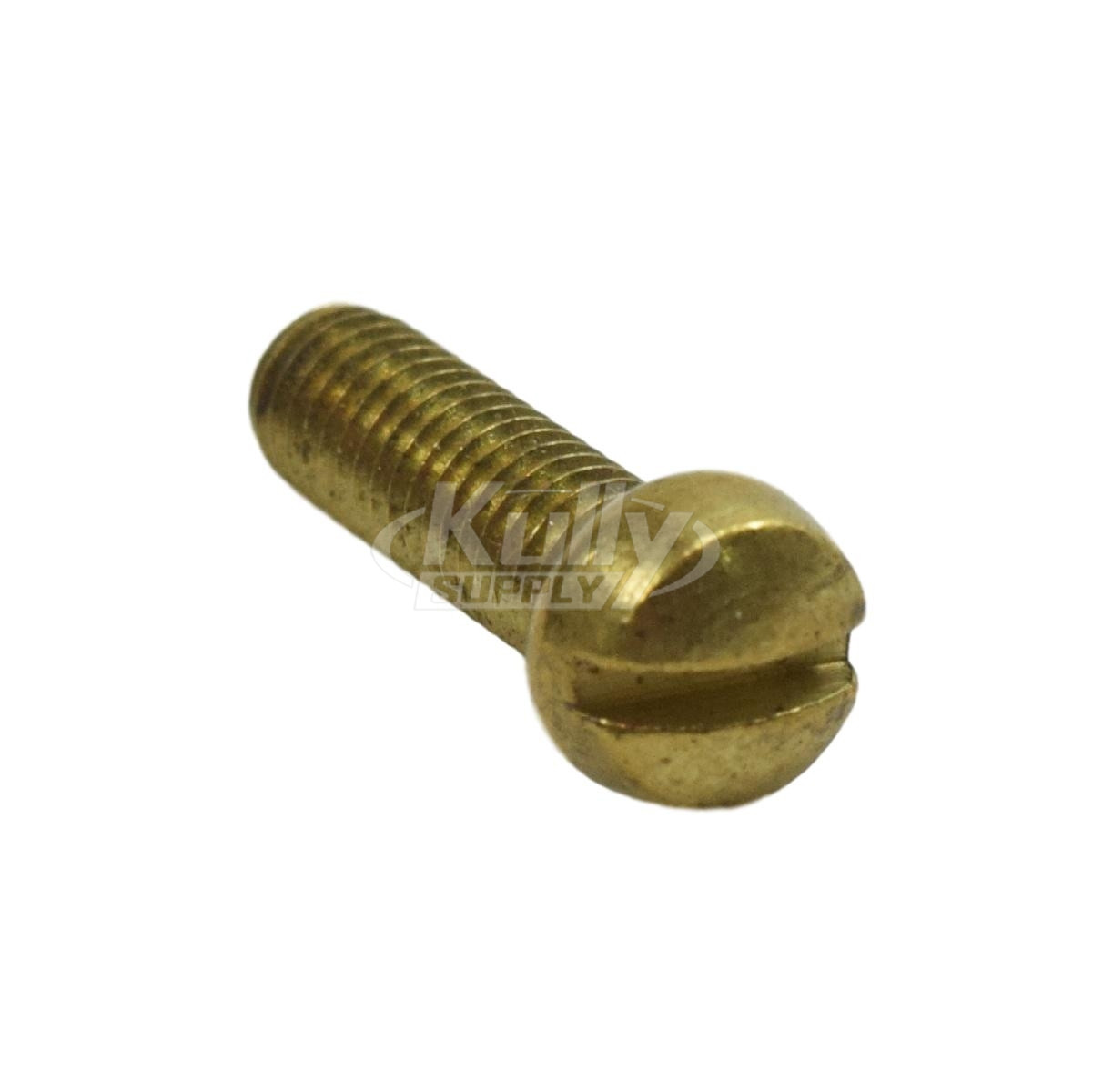 Bradley 169-256 Screws