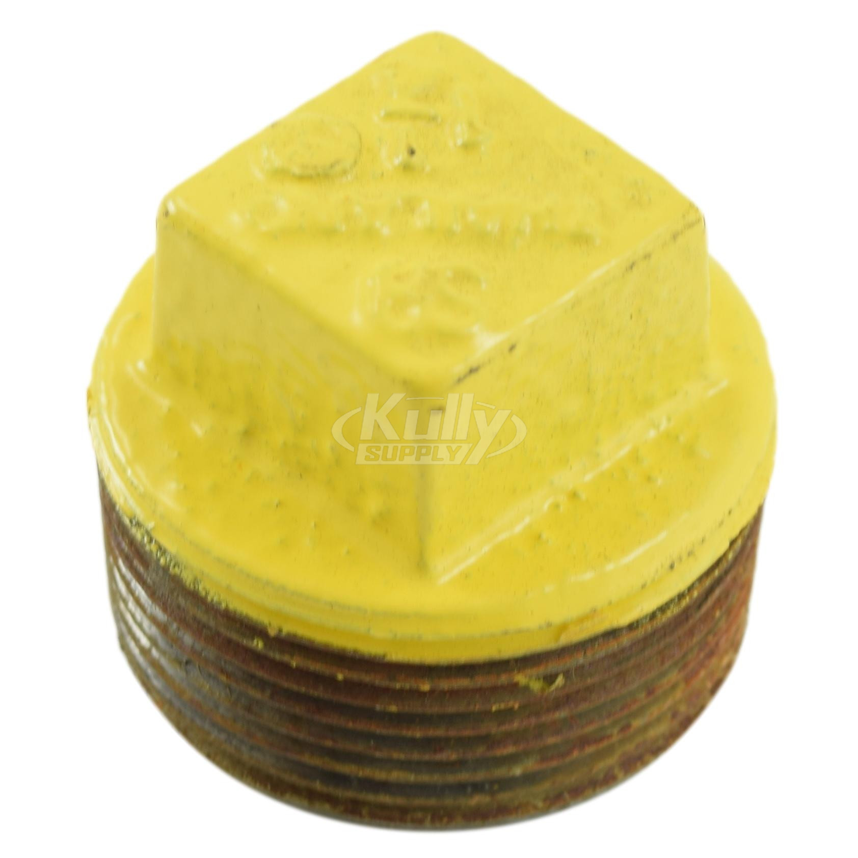 Bradley 169-724 Painted Galvanized Plug 1-1/4" NPT