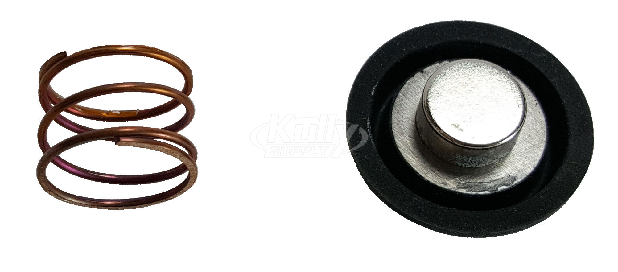 Bradley S39-591 MAGNET/DIAPHRAGM ASM