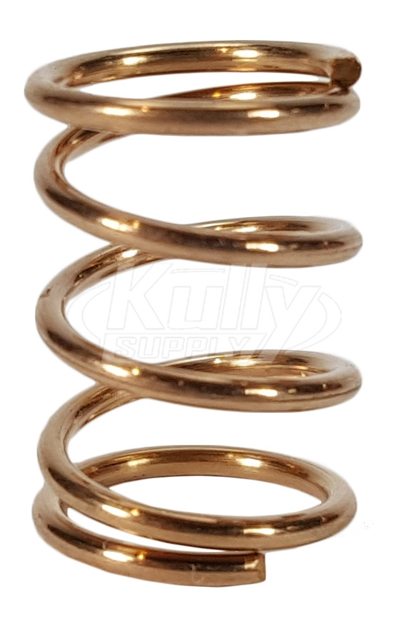 T&S Brass 000894-45 Spring