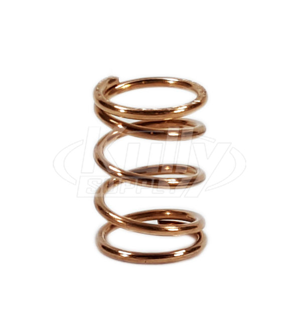 T&S Brass 000894-45M Spring (Qty 25)