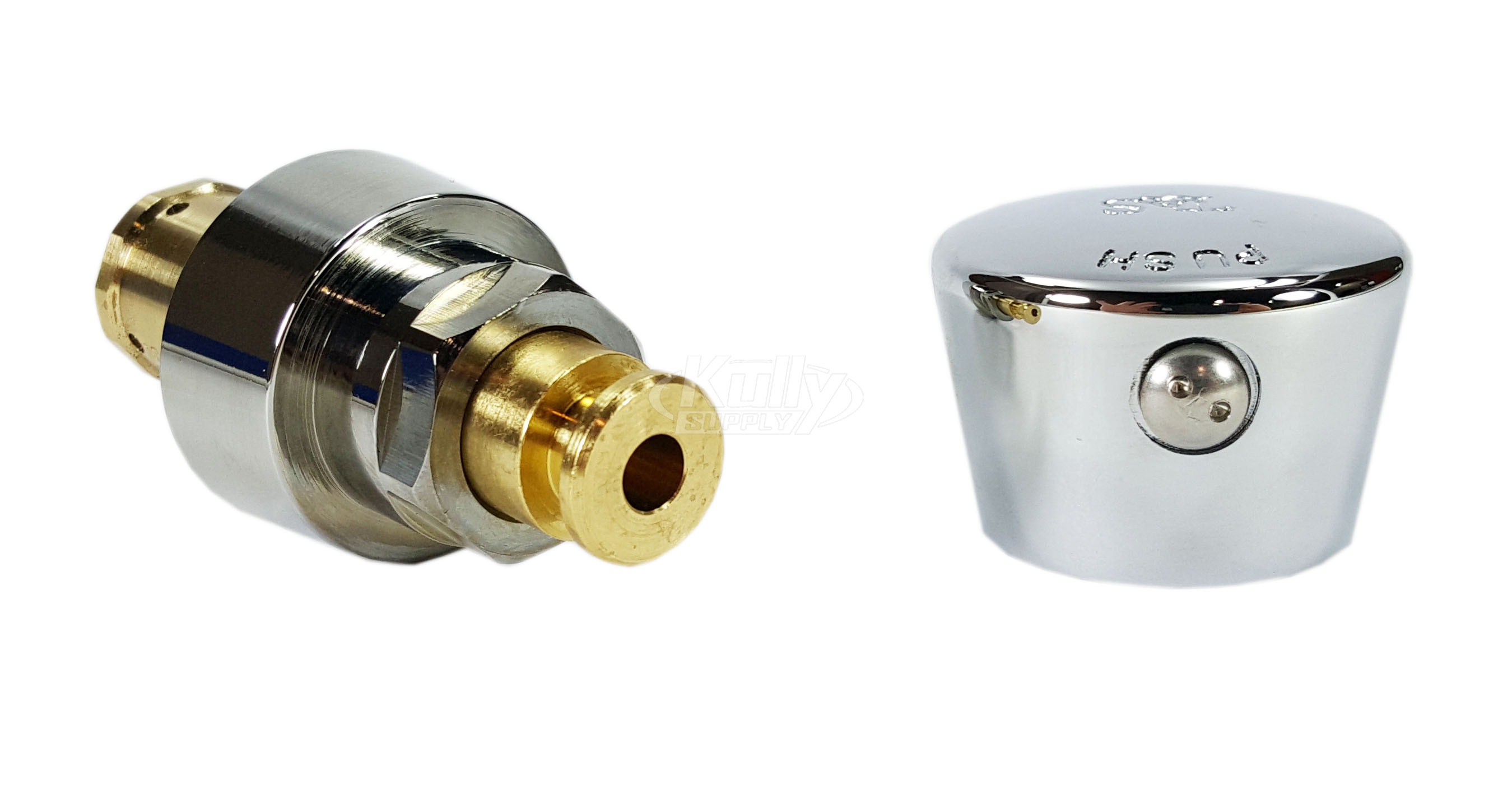T&S Brass 238AB Metering Cartridge, Blank Push Button