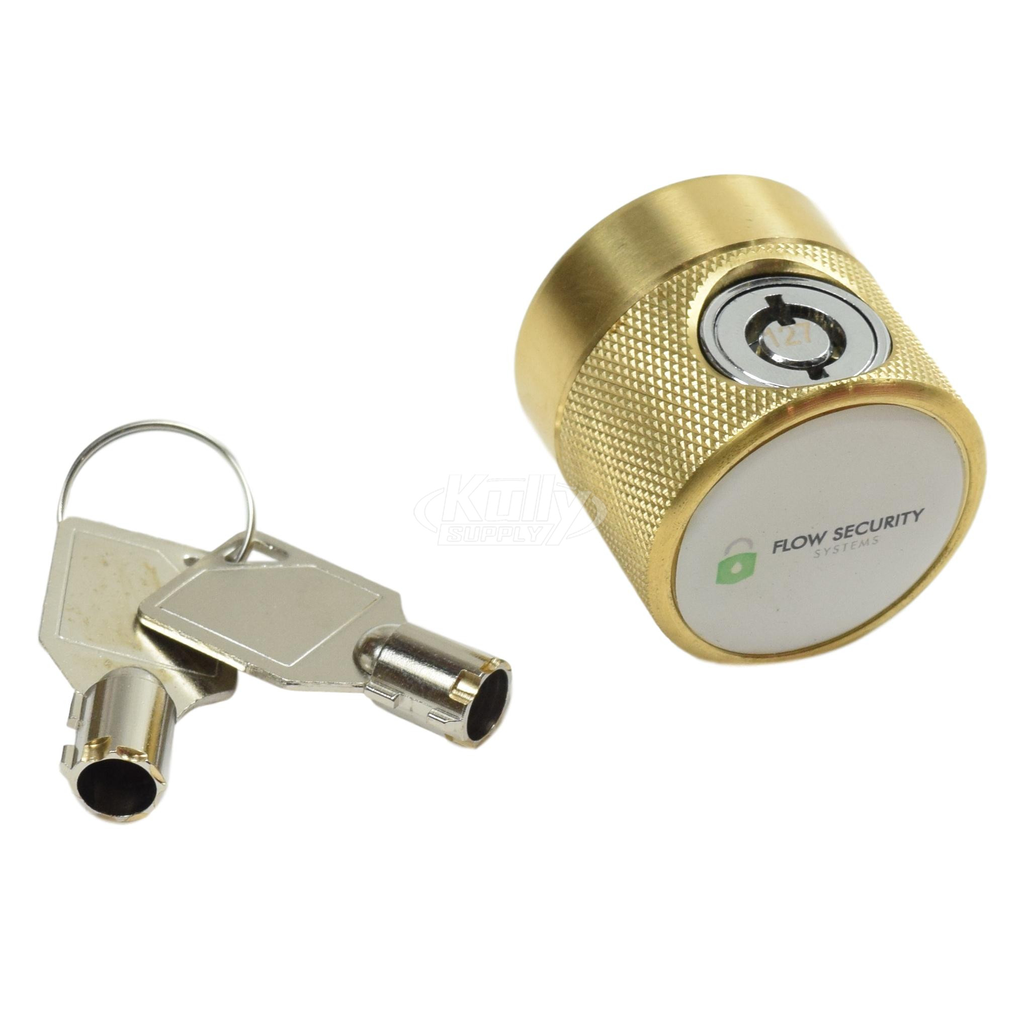 Zurn Z1399-HGS Hose Bib Lock (On Handle)