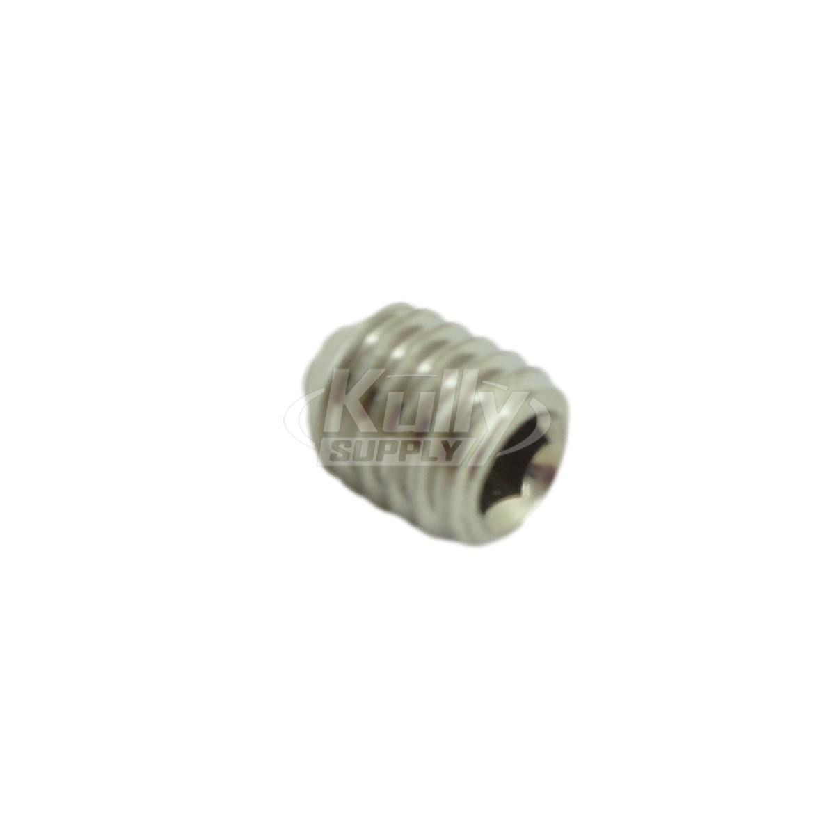 T&S Brass 016675-45 Set Screw M5 X 0.8 X 6mm, B-2710 & B-2711