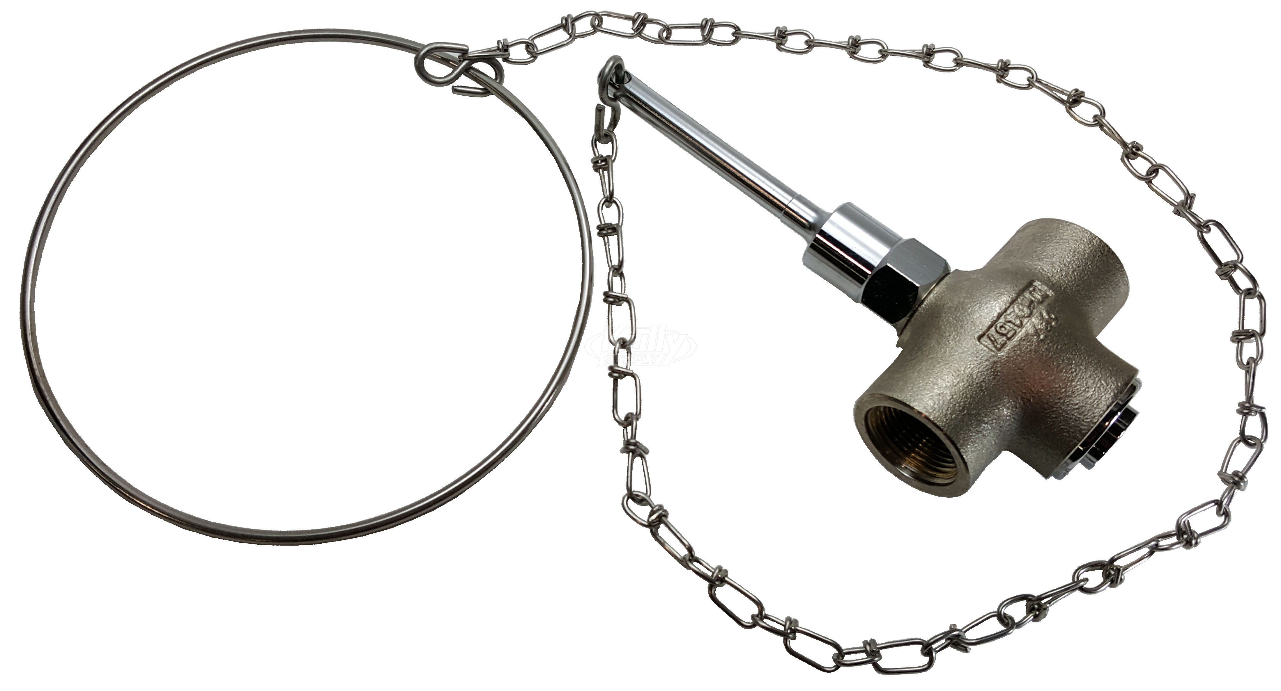 Speakman SE-901-CR Self-Closing Valve, 1" Female Inlet, 1" Female Outlet, Includes Chain & Ring