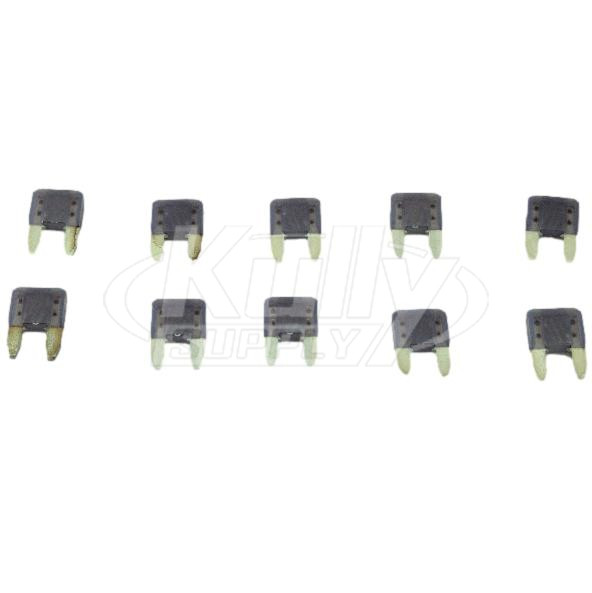 Acorn 0713-060-000 3 Amp 32 Volt Fuse (Violet) (10 Pack)