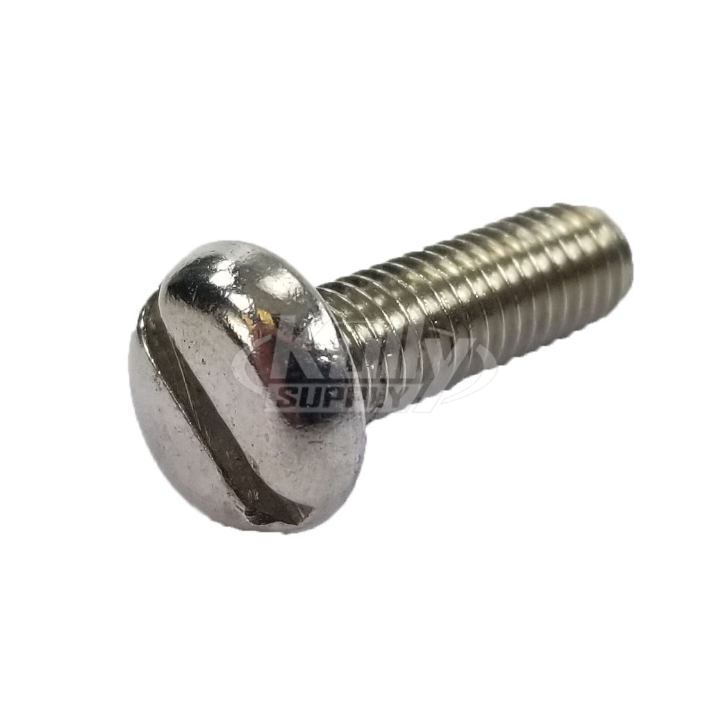 Intersan P2008 Stainless Steel Screw