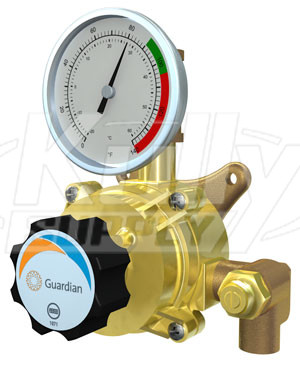 Guardian G3600LF Thermostatic Mixing Valve, 6 Gallon Capacity