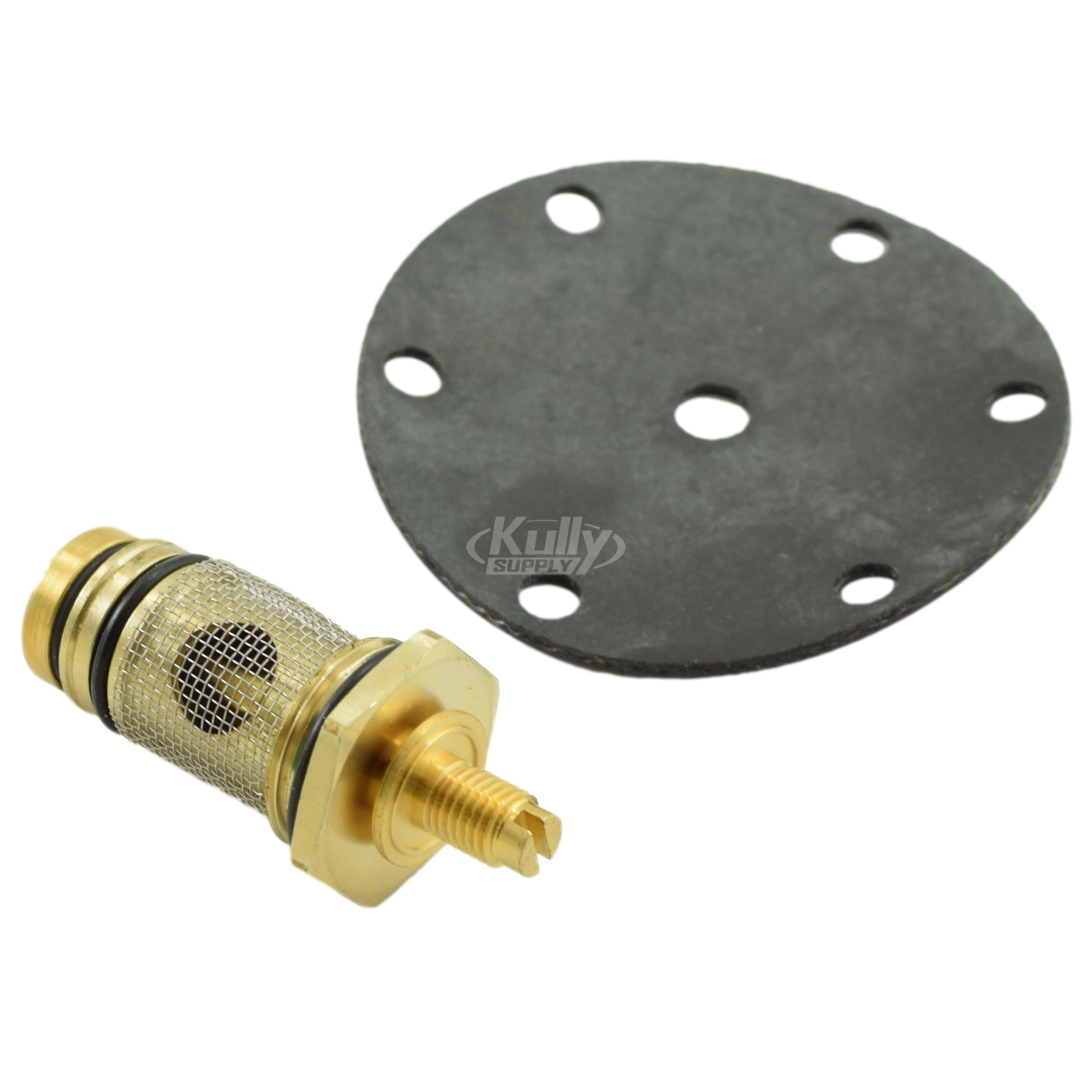 Watts RK LFN250 3/4" Repair kit