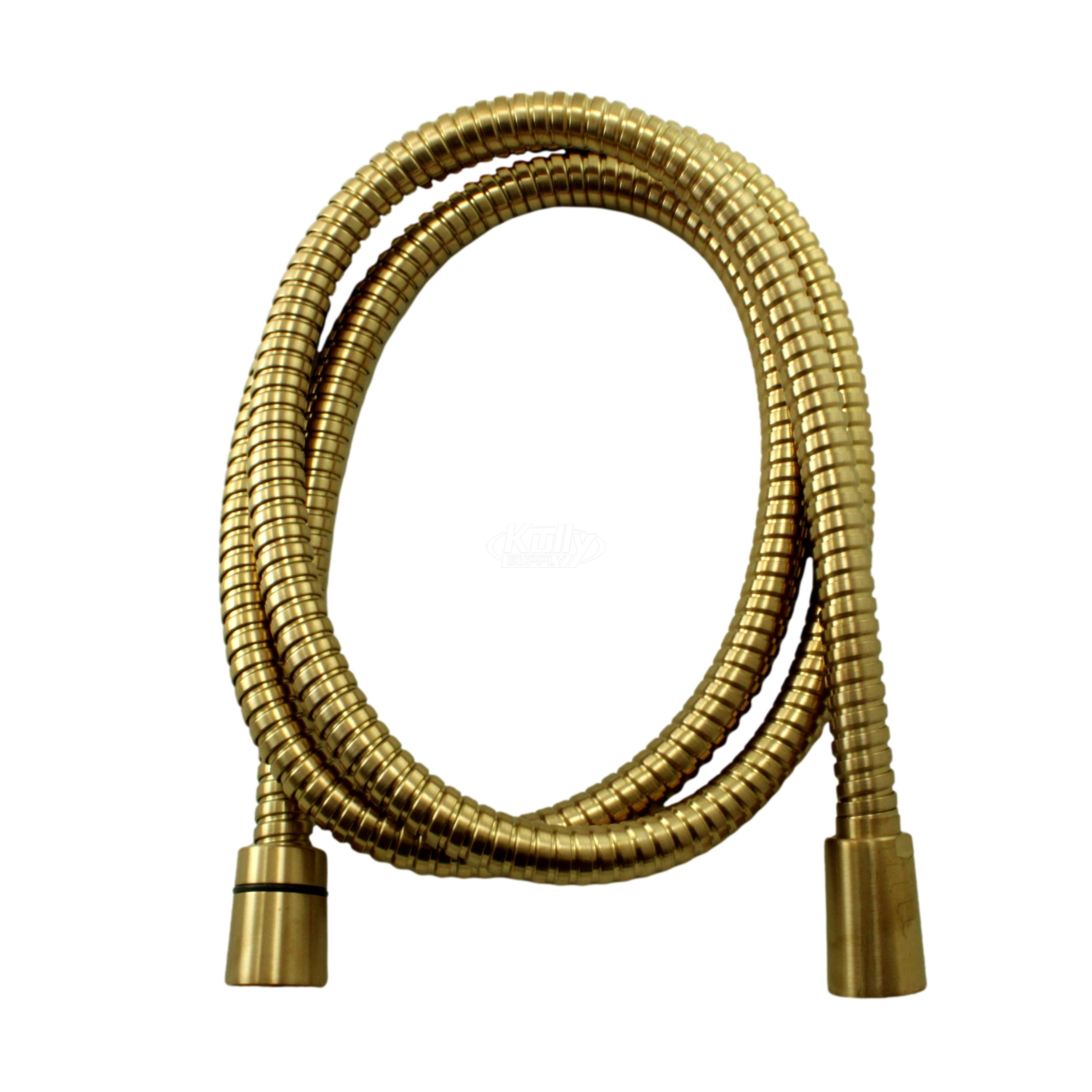 Symmons EF-104-BBZ Hose, 5', With Vacuum Breaker