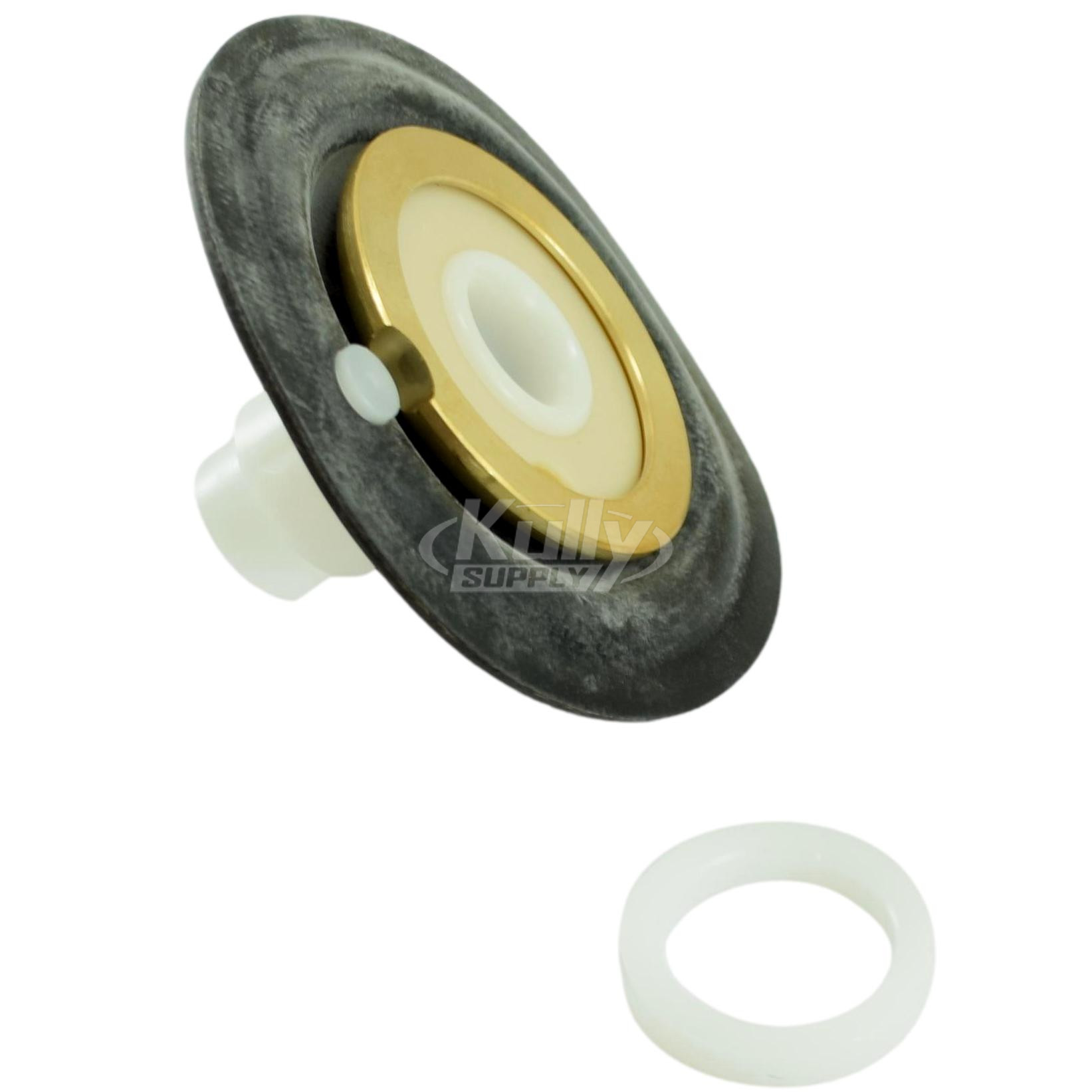 Delany PL143-1.6-ACQ 1.6 GPF Drop In Kit for Pulsar Plus Toilet