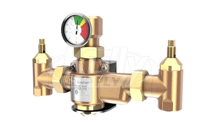 Guardian G6040 Thermostatic Mixing Valve 50 Gallon/189 Liter Capacity