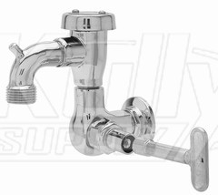 Fisher 29548 Faucet