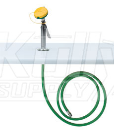 Haws 8904 Deck-Mounted Drench Hose