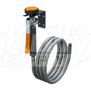 Guardian G5025 Wall-Mounted Drench Hose