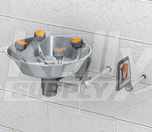 Guardian GFR1724 Freeze-Resistant Wall-Mounted Eye/Face Wash (with Stainless Steel Receptor)
