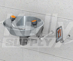 Guardian GFR1814 Freeze-Resistant Wall-Mounted Eyewash (with Stainless Steel Receptor) for 10" Wall Thickness