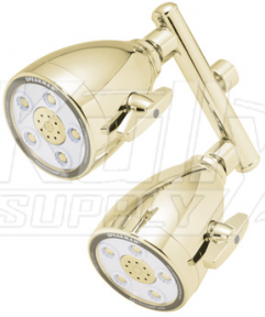 Speakman S-2222-BB 5-Jet Anystream 2000 Dual Showerhead - Bright Brass (Discontinued)