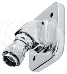 Speakman S-2285-AF Watersaver Wall Mounted Showerhead (Discontinued)