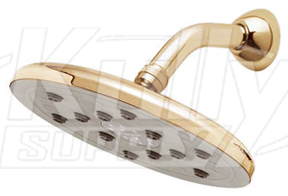 Speakman S-2559-PB Downpour Rain Showerhead - Polished Brass (Discontinued)