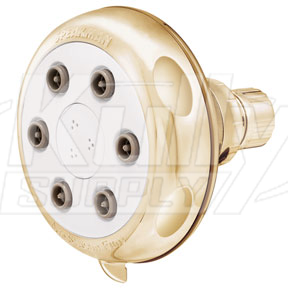 Speakman S-2620-PB 6 Jet Anystream Euro Showerhead - Polished Brass