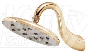 Speakman S-2659-PB Downpour Rain Showerhead - Polished Brass (Discontinued)