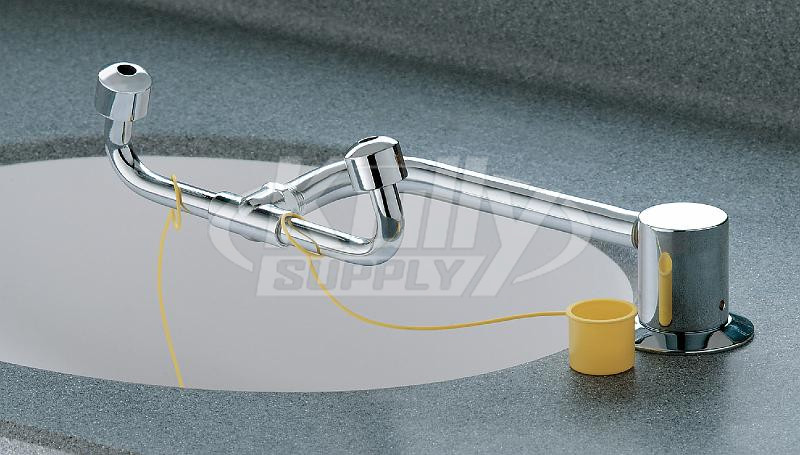 Bradley S19-270C Swing-Activated Eyewash