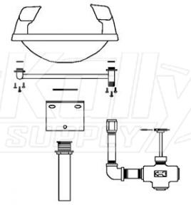 Speakman SE-411 Wall-Mounted Eye/Face Wash (with Rectangular Plastic Receptor)