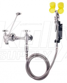 Speakman SEF-9000-FM Wall-Mounted Service Sink Eyewash (with Drench Hose)