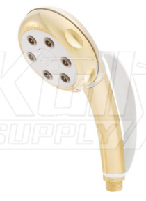 Speakman VS-82620-PB-H 6-Jet Anystream Handheld Showerhead w/ Handle Strap - Polished Brass (Discontinued)