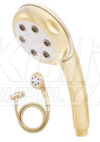 Speakman VS-82620-PB 6-Jet Anystream Handheld Showerhead - Polished Brass (Discontinued)