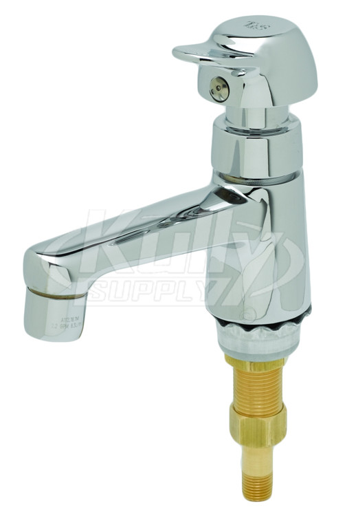 T&S Brass B-0712-PA Sill Faucet