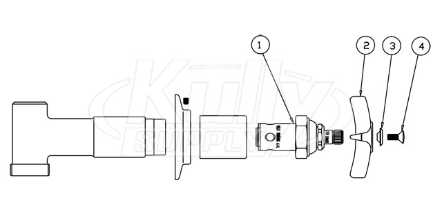 T&S Brass B-1025 Concealed Straight Valve Assembly  Parts Breakdown