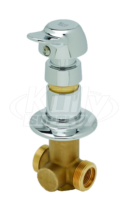 T&S Brass B-1029-PA Concealed Straightway Valve