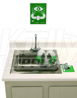 T&S Brass EW-7611 Swing Away Eyewash