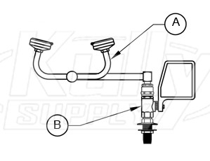 Deck Mount Eye/Face Wash