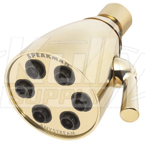 Speakman S-2252-PB 6-Jet Anystream Showerhead - Polished Brass