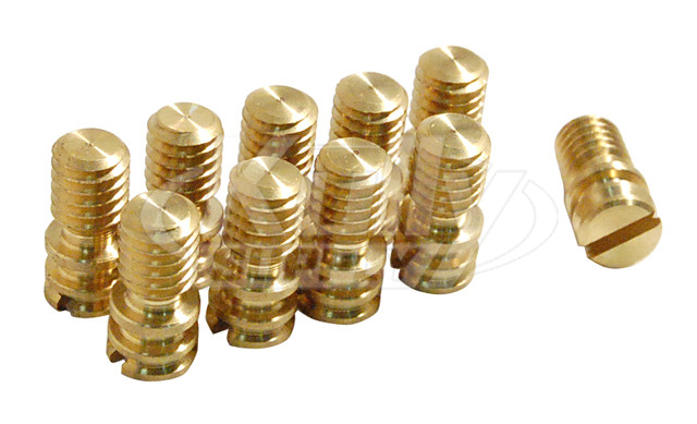 Toto TH305SV110 Cap Adjustment Screw Set