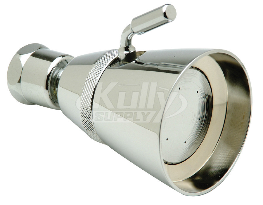 Zurn Z7000-S5 Large Brass Showerhead 