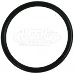 Sloan H-553 Tailpiece O-Ring