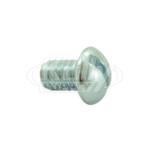 Bradley 160-169 Screw 1/4-20 13/32" RD HD