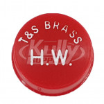 T&S Brass 001194-45 Index, Snap-In, Red